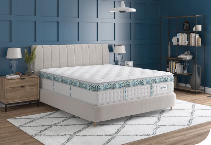Evrbed: Creating the Evolution of the Perfect Mattress